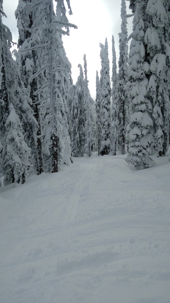 Tracy Steen at Big White